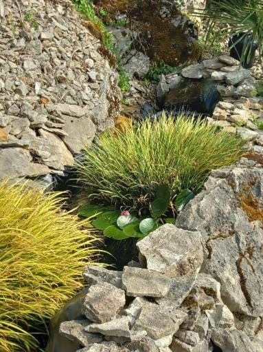 Les Allumettes D'Ecorsaint Εξωτερικό φωτογραφία